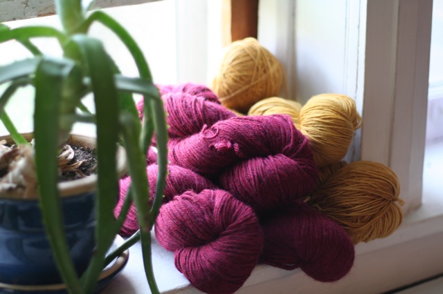 Yarn splurge
