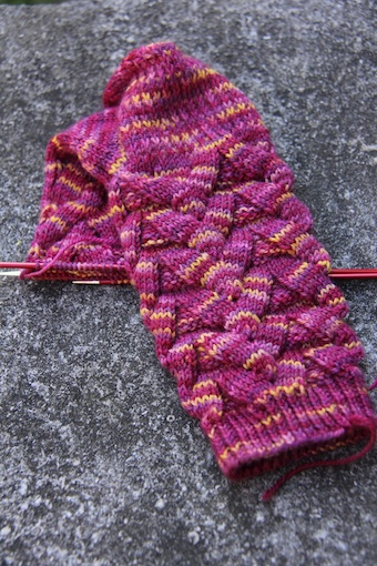 I'm using SweetGeorgia Tough Love Sock in Honey Fig.