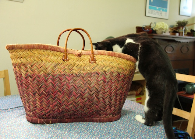 Ganymede included for scale (and also because she was curious).