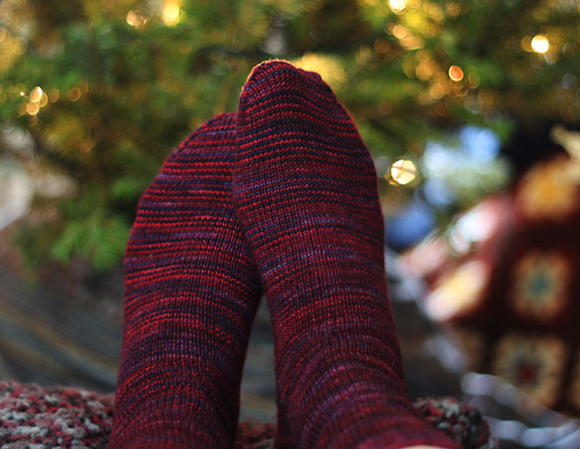 Photo taken a few days ago, in front our (first!) Christmas tree.
